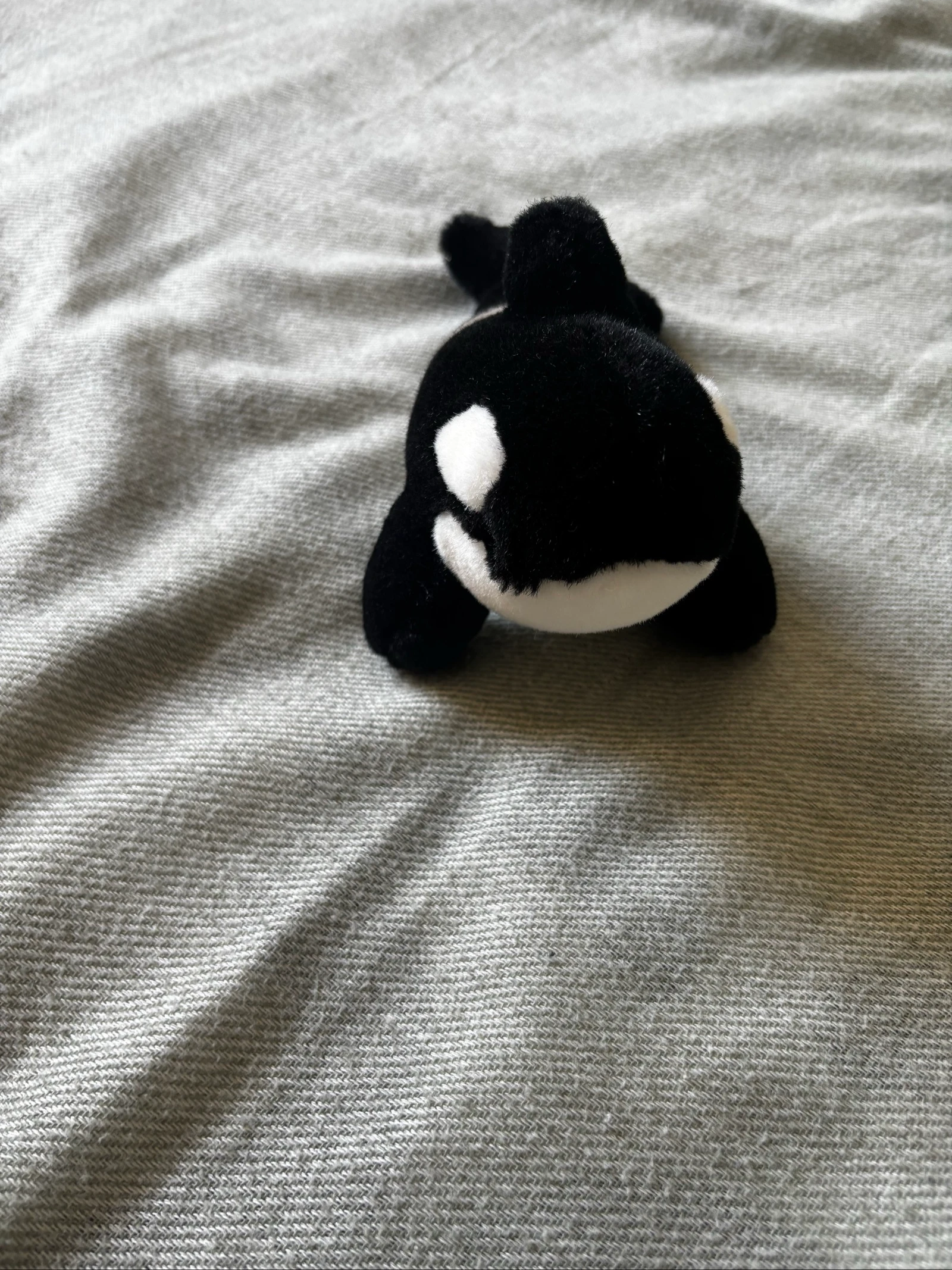 257/ Peluche baleine 